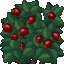 :BerryBush:
