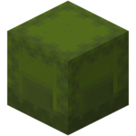 Green Shulker Box.png